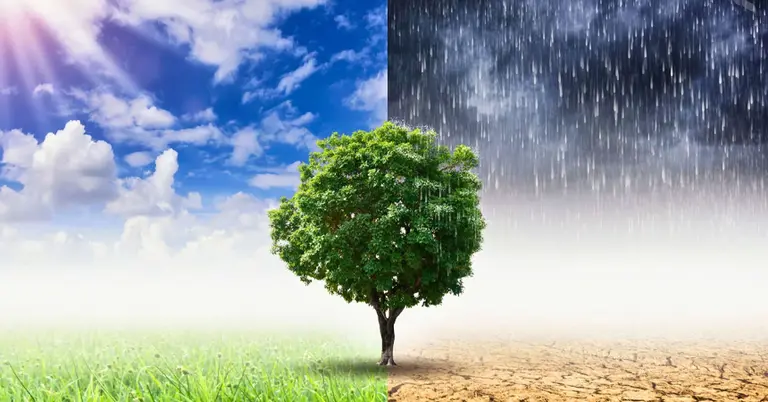 প্রতীকী ছবি